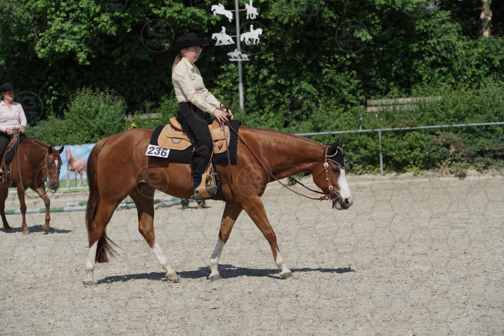 s_APF06447.jpg